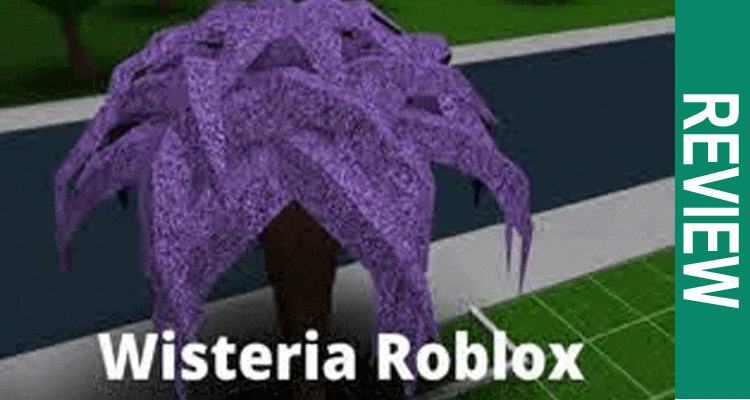 Wisteria-Roblox-Wiki-Review
