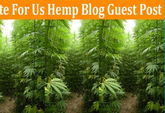 About General Information Write For Us Hemp Blog Guest Post