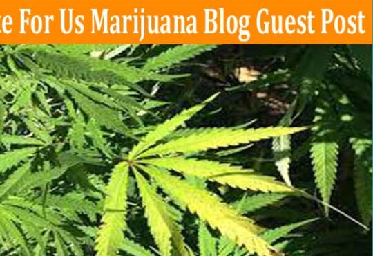 About General Information Write For Us Marijuana Blog Guest Post