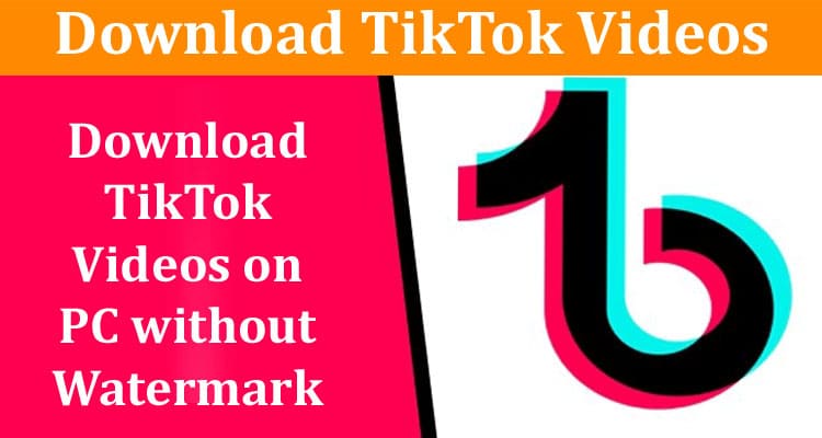 How to Download TikTok Videos on PC without Watermark