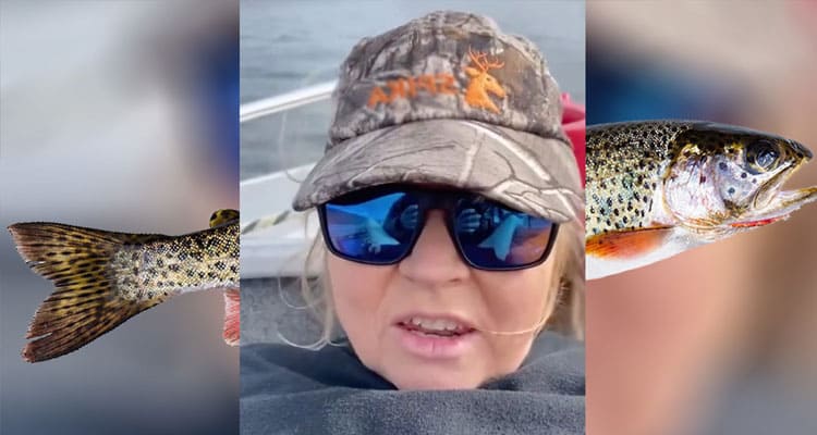 Latest news Trout for Clout Lady Video